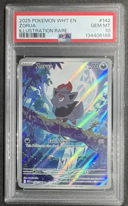 2025 POKEMON WHT EN-WHITE FLARE ILLUSTRATION RARE #142 ZORUA PSA 10 - Image 1