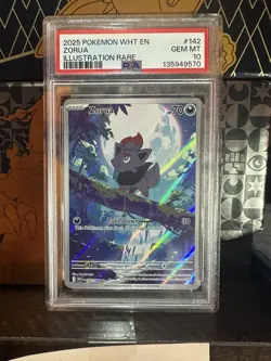 ZORUA 142 POKEMON WHT EN-WHITE FLARE ILLUSTRATION RARE PSA 10 GEM MINT 2025 - Image 1