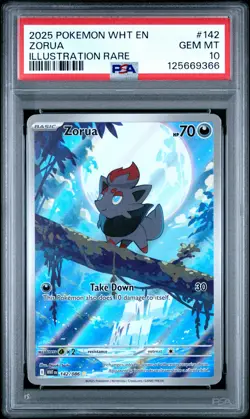 2025 POKEMON WHT EN-WHITE FLARE ILLUSTRATION RARE #142 ZORUA PSA 10 - Image 1