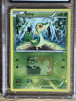 Pokemon Snivy 1/114 Black & White Reverse Holo Pokemon League CGC 10 - Image 2