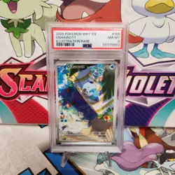 PSA 8 Oshawott 105/086 Illustration Rare - White Flare - Pokemon TCG -SHIPS FAST - Image 1