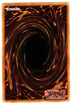 Yu-Gi-Oh! Blue-Eyes Toon Dragon SDP-020 Starter Deck: Pegasus NM unlimited - Image 2