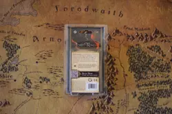 The Lord Of The Rings: The Card Game LCG - Wrath And Ruin - Image 2