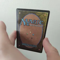 Helga, Skittish Seer (Showcase) Foil, Near Mint, MTG Bloomburrow - Image 4