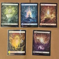 Set Of Duskmourn Full Art Foil Basic Lands (5) MTG NM - Image 1
