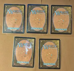 Set Of Duskmourn Full Art Foil Basic Lands (5) MTG NM - Image 2