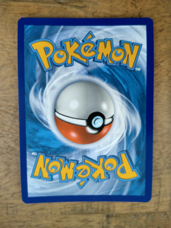 Donphan SWSH067 STAFF Prerelease Holo - Pokemon TCG Sword & Shield Promo NM - Image 3