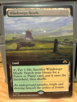 1x NM BORDERLESS Windswept Heath - 0466 R MH3 - MTG Magic Never Played x1 - Image 1