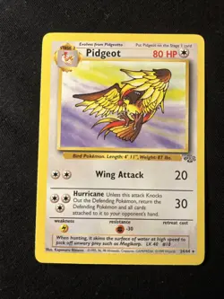 Pidgeot 24/64 - Jungle Set - Rare Non-Holo Pokemon Card - LP - Image 1