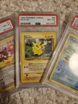 Psa 8 Graded Vintage Pokemon Cards Bundle. Pikachu, Eevee And Maigkarp - Image 3
