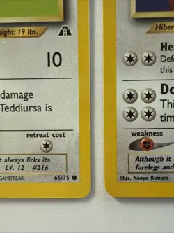 Pokemon Teddiursa (65/75) Ursaring (34/75) Pair Neo Discovery - Image 4