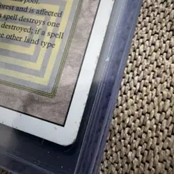 MTG Bayou Revised Edition - Swampy around the edges, but otherwise in good shape - Image 2