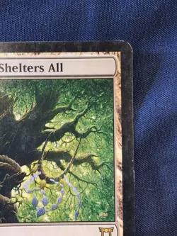 Boseiju, Who Shelters All Champions of Kamigawa Regular MTG LP/MP - Image 3