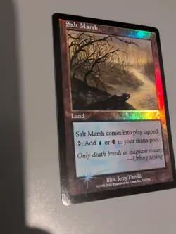 Salt Marsh. Land MTG Card. Invasion. Foil. Old Vintage Border. - Image 2