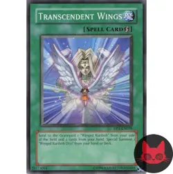 Yugioh Transcendent Wings DP1-EN018 Common NM - Image 1