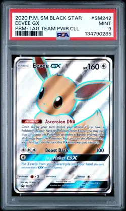 2020 POKEMON SM PROMO TAG TEAM POWERS COLLECTION #SM242 EEVEE GX PSA 9 - Image 1