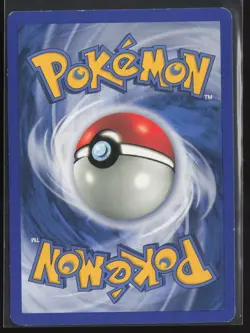 Machamp Promo WoTC Promo 43/53 HP Pokemon Card - Image 2