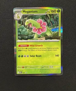 Pokemon TCG (prerelease) Meganium MEP 001 Promo ME01: Mega Evolution Promo NM - Image 1