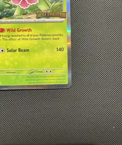 Pokemon TCG (prerelease) Meganium MEP 001 Promo ME01: Mega Evolution Promo NM - Image 4