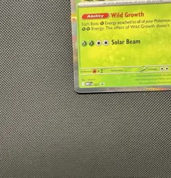 Pokemon TCG (prerelease) Meganium MEP 001 Promo ME01: Mega Evolution Promo NM - Image 5