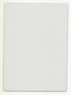 MTG Japanese Swords to Plowshares Signed Artist Proof FBB 4th Edition SP - Image 2