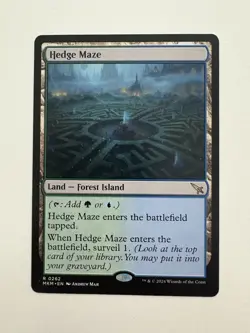 Hedge Maze MTG Magic the Gathering Card NM Near Mint MKM - Image 1