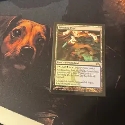 Mtg Breeding Pool - Gatecrash + Bonus Foils - Image 1