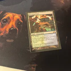 Mtg Breeding Pool - Gatecrash + Bonus Foils - Image 2