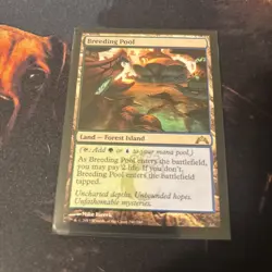 Mtg Breeding Pool - Gatecrash + Bonus Foils - Image 3