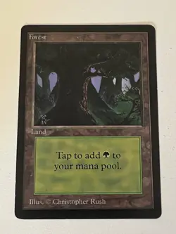 Magic the Gathering MTG Beta Forest v.3 (DARK) LP (Beta Bob) - Image 1