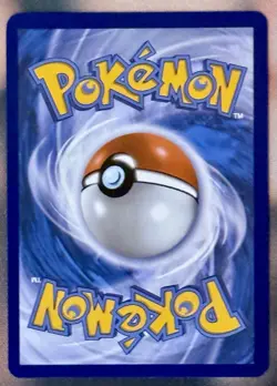 Charcadet 022 Pokemon Phantasmal Flames Elite Trainer Box ETB Black Star Promo - Image 2
