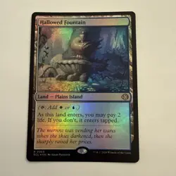 Hallowed Fountain FOIL 265 Lorwyn Eclipsed ECL MTG Regular Rare Land Unplayed NM - Image 1
