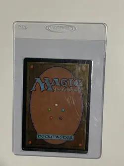 Lotus Petal Tempest LP - Image 2