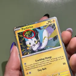 1 Swirl 🌀 Pachirisu SVP158 Black Star Promo Pokemon Surging Sparks - Near Mint - Image 2