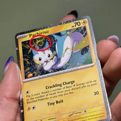 1 Swirl 🌀 Pachirisu SVP158 Black Star Promo Pokemon Surging Sparks - Near Mint - Image 3