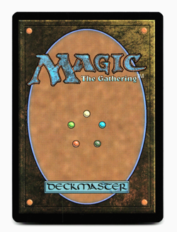 Changeling Wayfinder X4 - [Lorwyn Eclipsed] MTG PLAYSET NM - Image 5