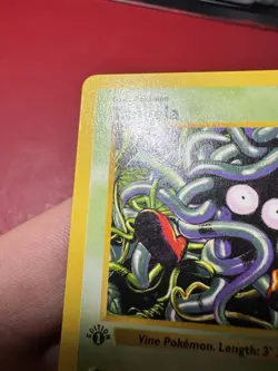 Tangela 66/102 Shadowless 1st Edition Base Set Pokemon Card DMG - Image 3