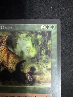 Magic The Gathering Visions Natural Order MTG TCG CCG LP - Image 4