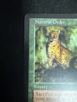 Magic The Gathering Visions Natural Order MTG TCG CCG LP - Image 5