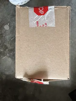 4 Display Innistrad Midnight Hunt Commander Deck Undead Unleashed Coven Counters 630509987153 - Image 3