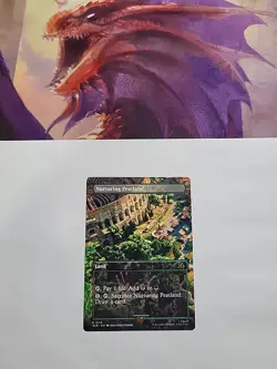 MTG - Nurturing Peatland (Borderless) ACR Regular Rare #0114 - Image 2