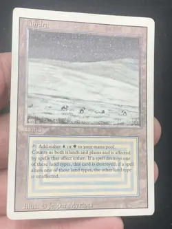 ***Tundra (Ring Ding)*** MTG Revised Magic Kid Icarus - Image 3