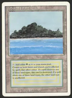 ***Tropical Island (Water Damage)*** MTG Revised Magic Kid Icarus - Image 1