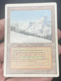 ***Taiga*** MTG Revised Magic Kid Icarus - Image 3