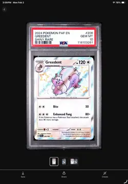 Pokemon 2024 SV Paldean Fates PAF Greedent #206/091 Baby Shiny PSA 10 - Image 1