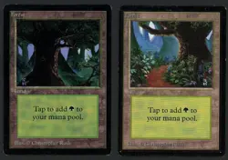 ***2x Beta Forest*** MTG Beta Magic Kid Icarus - Image 1