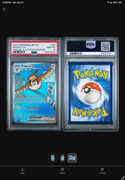 Pokemon Pidgeot ex 225/197 SV03: Obsidian Flames Holo PSA 10 - Image 3