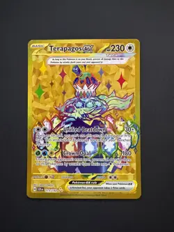 Terapagos ex 173/142 Pokemon Stellar Crown Hyper Rare Near Mint (NM) 2024 - Image 1