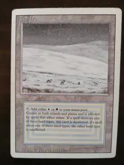 MTG Tundra Revised Edition - NM Condition - Image 1