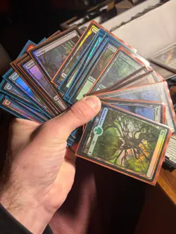 Magic the Gathering - Every MTG card left in my house - Lands, foils, rares - Image 5